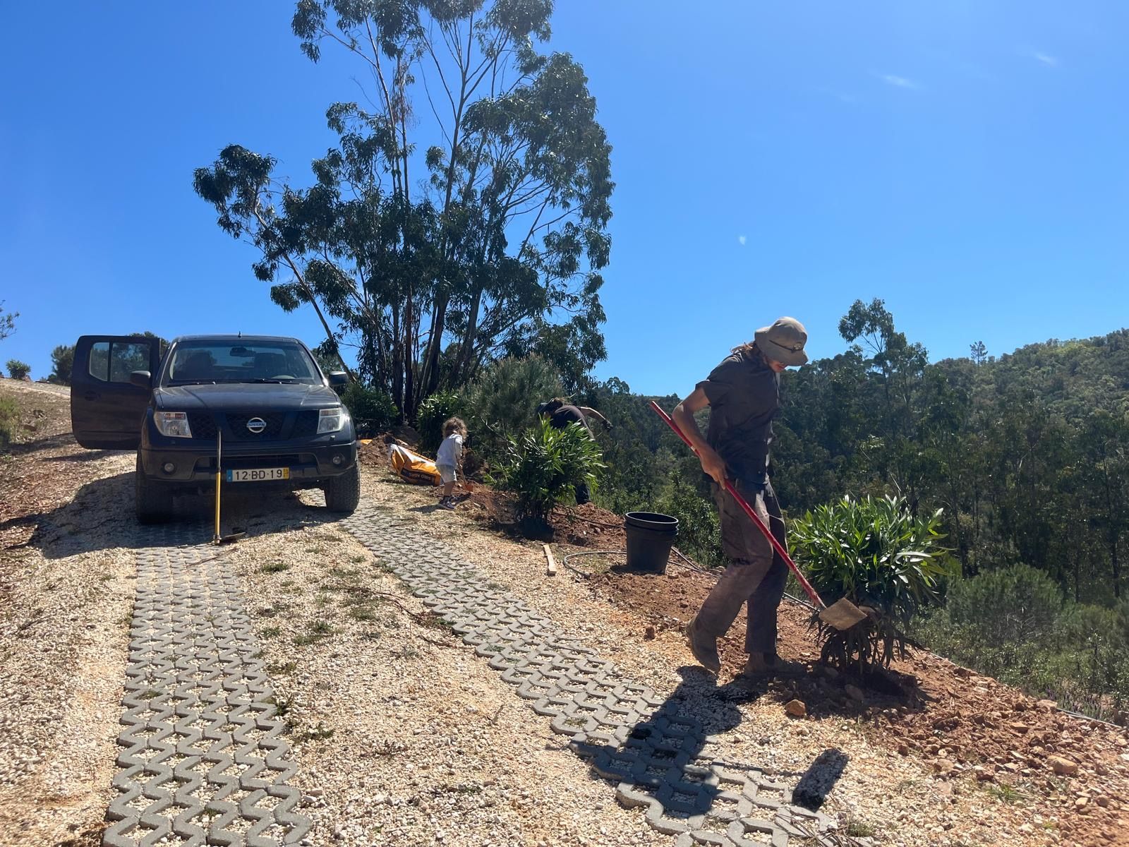 The Raízes crew planting along a driveway