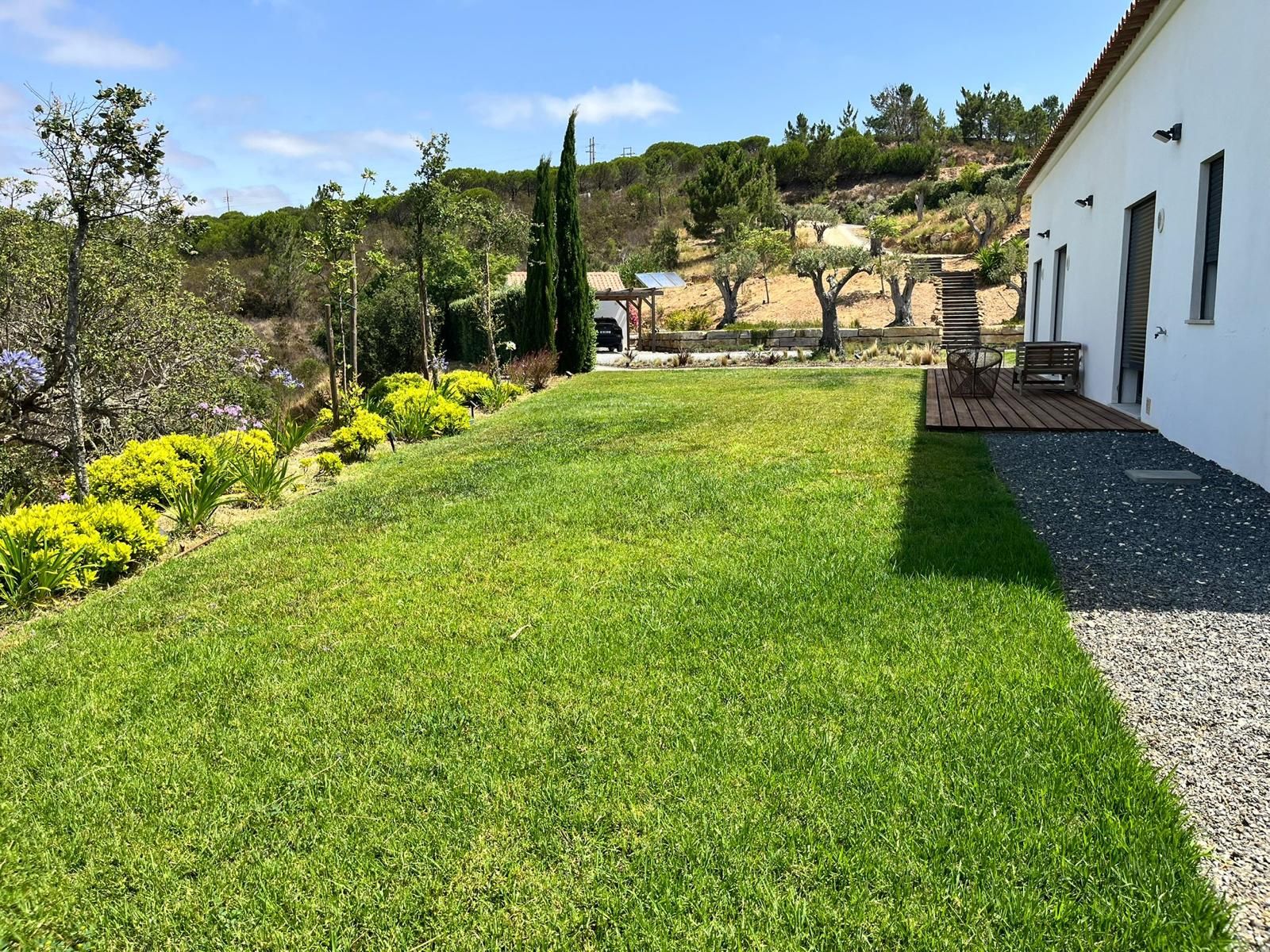Freshly mown lawn and planted border beside a house