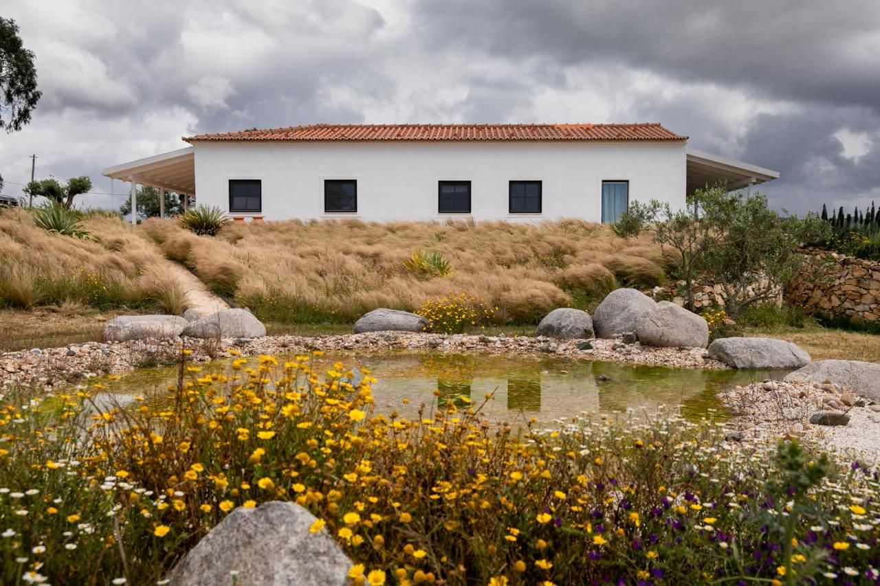 White farmhouse above a wildflower meadow and pond