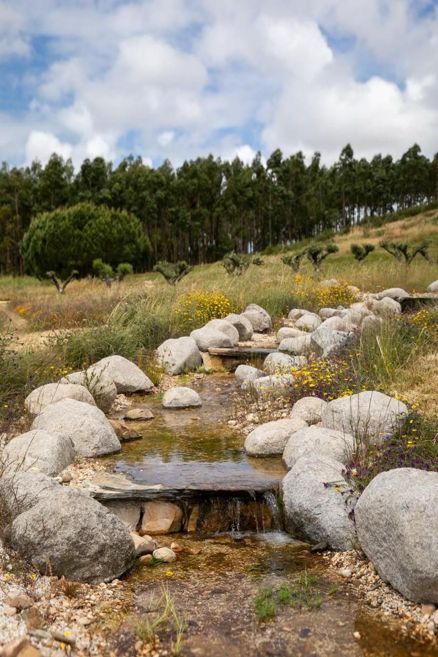 Stone-lined stream through a meadow garden